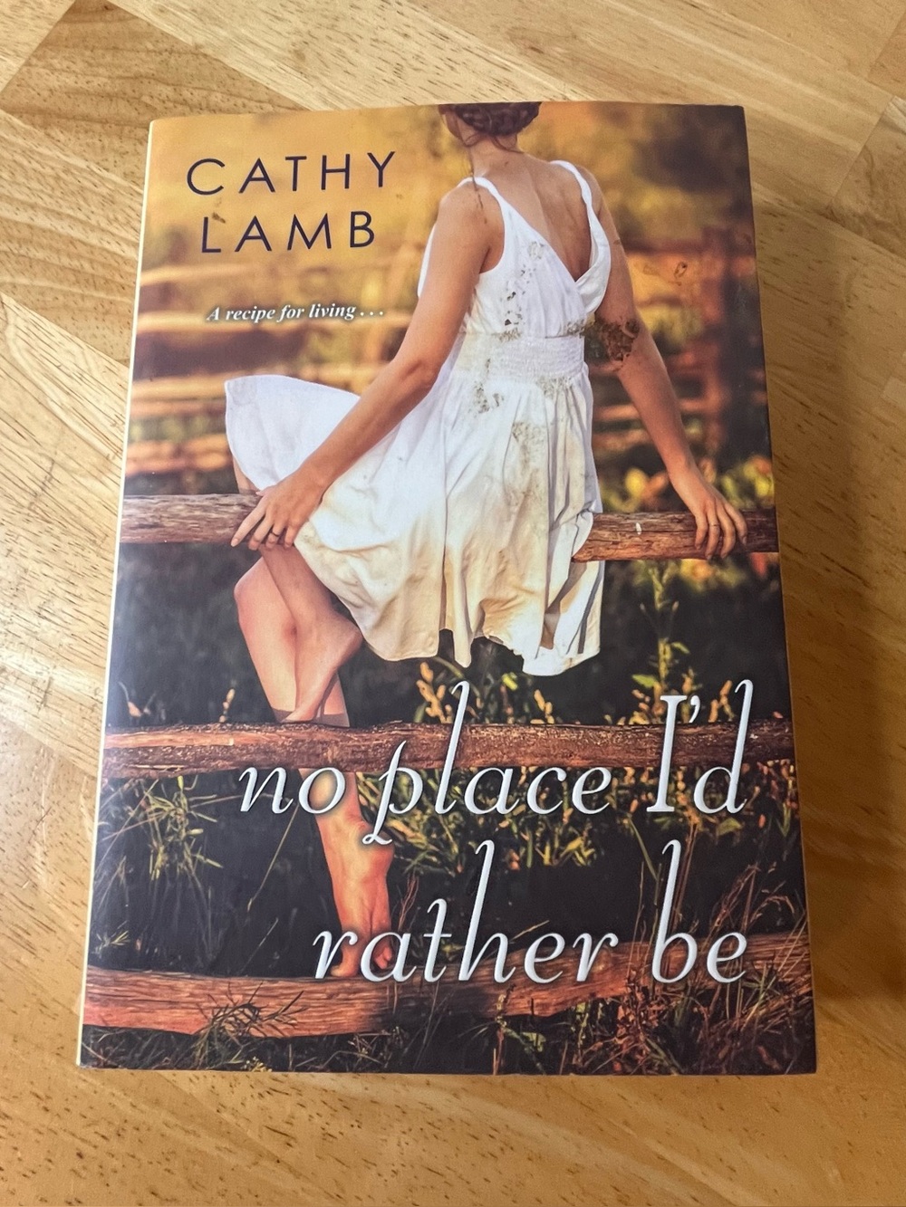 Cathy Lamb No Place I'd Rather Be Paperback Book